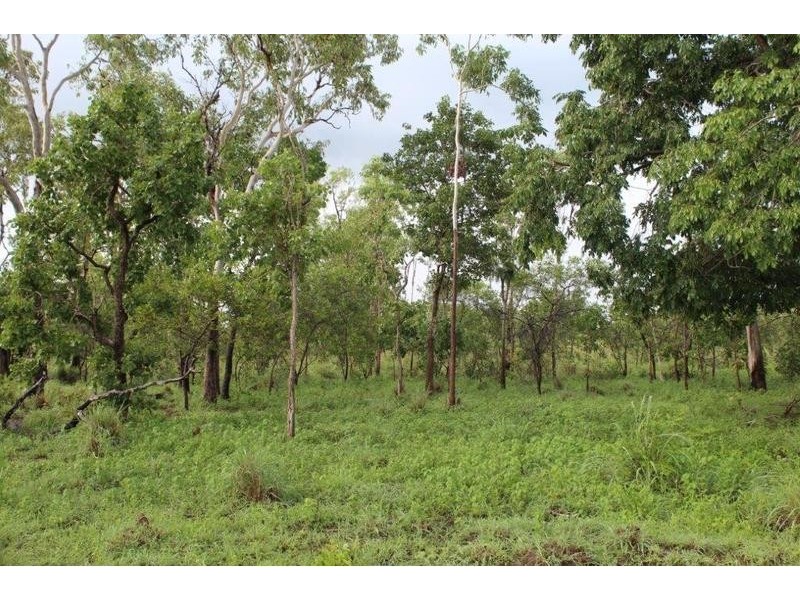 115 Whitstone Road, Acacia Hills NT 0822