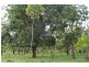 115 Whitstone Road, Acacia Hills NT 0822