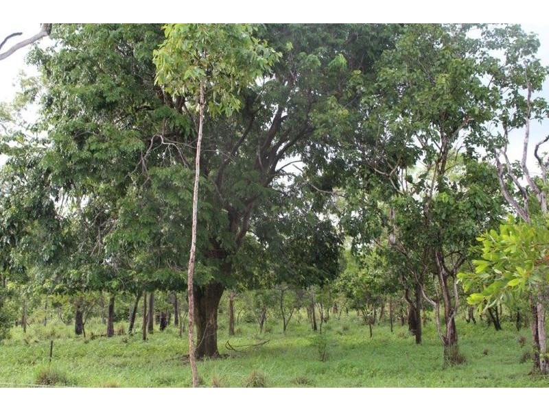 115 Whitstone Road, Acacia Hills NT 0822