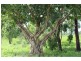 115 Whitstone Road, Acacia Hills NT 0822