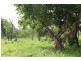 115 Whitstone Road, Acacia Hills NT 0822