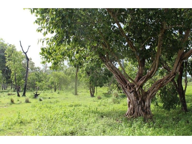 115 Whitstone Road, Acacia Hills NT 0822