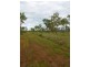 31 Bandicott Road, Berry Springs NT 0838
