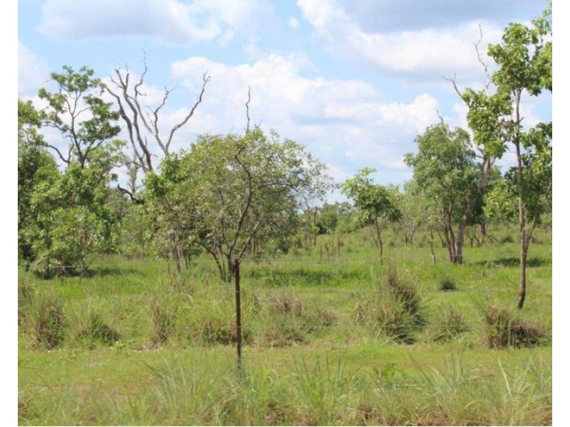 14 Whitstone Road, Acacia Hills NT 0822