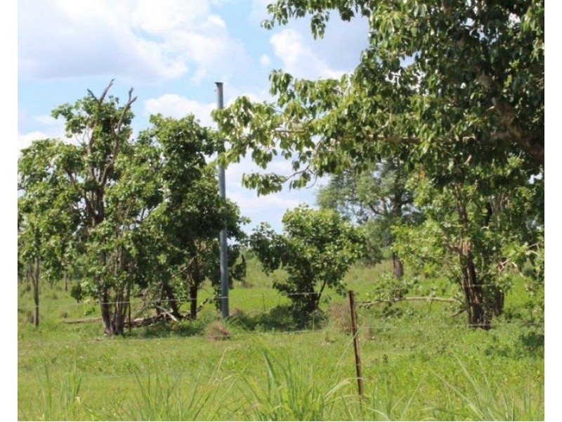 14 Whitstone Road, Acacia Hills NT 0822