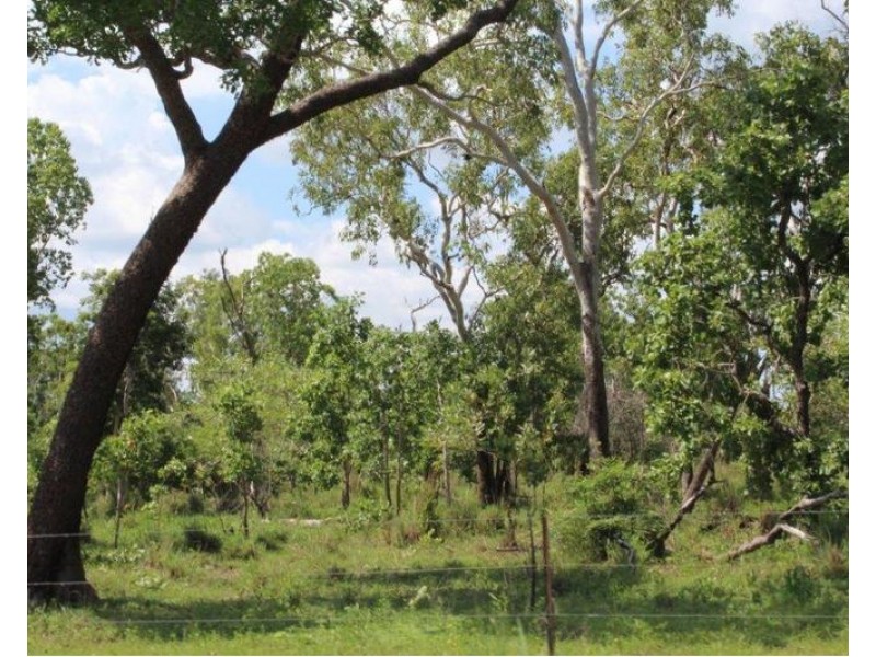 14 Whitstone Road, Acacia Hills NT 0822