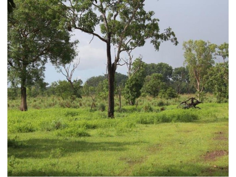 14 Whitstone Road, Acacia Hills NT 0822