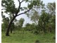14 Whitstone Road, Acacia Hills NT 0822