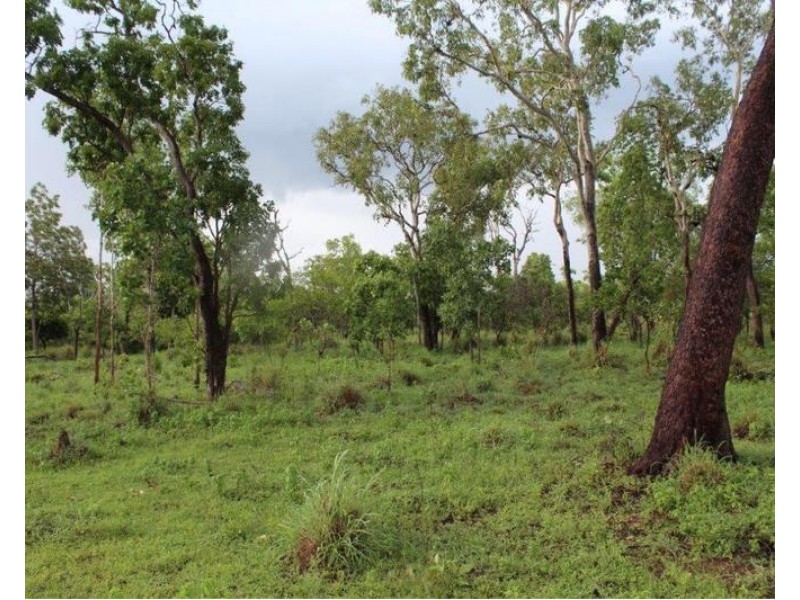 14 Whitstone Road, Acacia Hills NT 0822