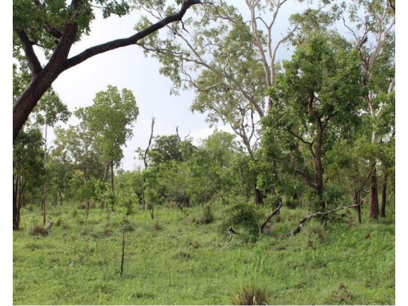 14 Whitstone Road, Acacia Hills NT 0822