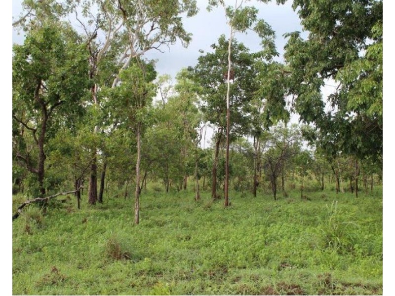 14 Whitstone Road, Acacia Hills NT 0822