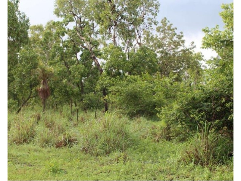 14 Whitstone Road, Acacia Hills NT 0822