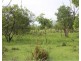 14 Whitstone Road, Acacia Hills NT 0822