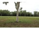 113 Memorial Terrace, Adelaide River NT 0846