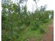 55 Levuka Road, Dundee Beach NT 0840