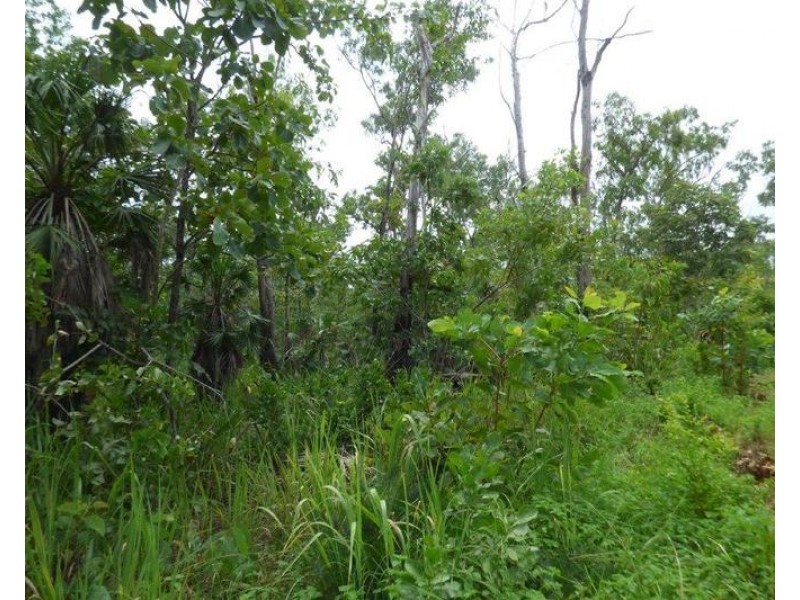 55 Levuka Road, Dundee Beach NT 0840