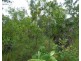 55 Levuka Road, Dundee Beach NT 0840