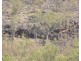Lot 82,  Hundred Of Waterhouse, Adelaide River NT 0846