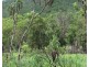 Lot 82,  Hundred Of Waterhouse, Adelaide River NT 0846