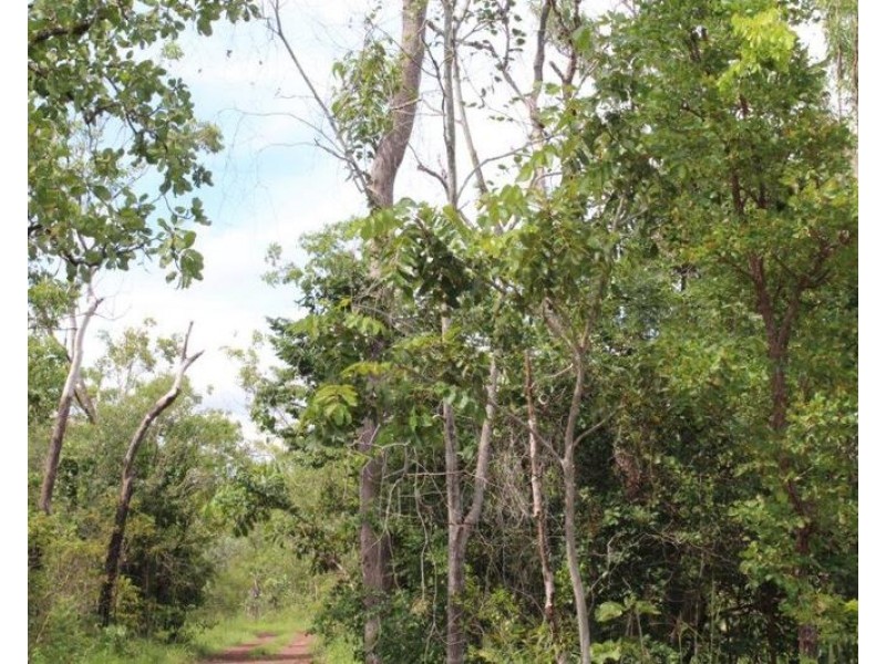 1050 Leonino Road, Darwin River NT 0841