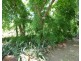 1050 Leonino Road, Darwin River NT 0841