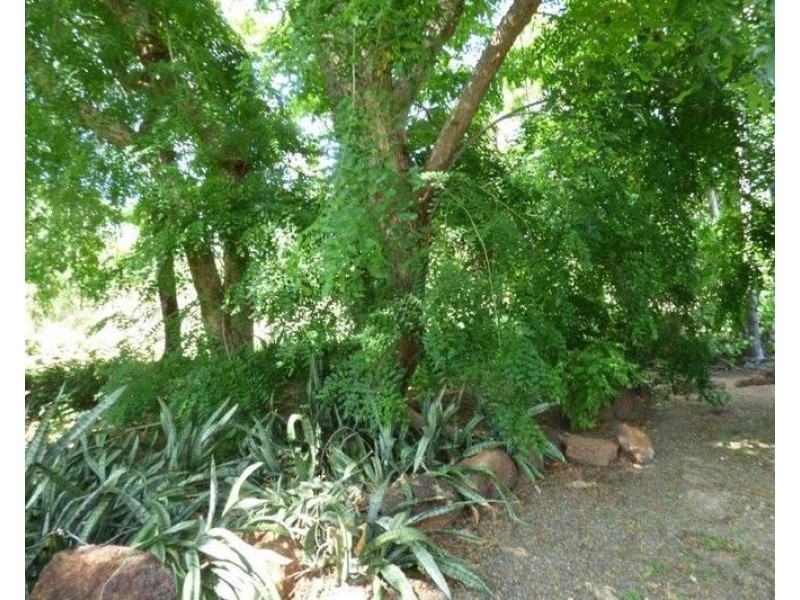 1050 Leonino Road, Darwin River NT 0841