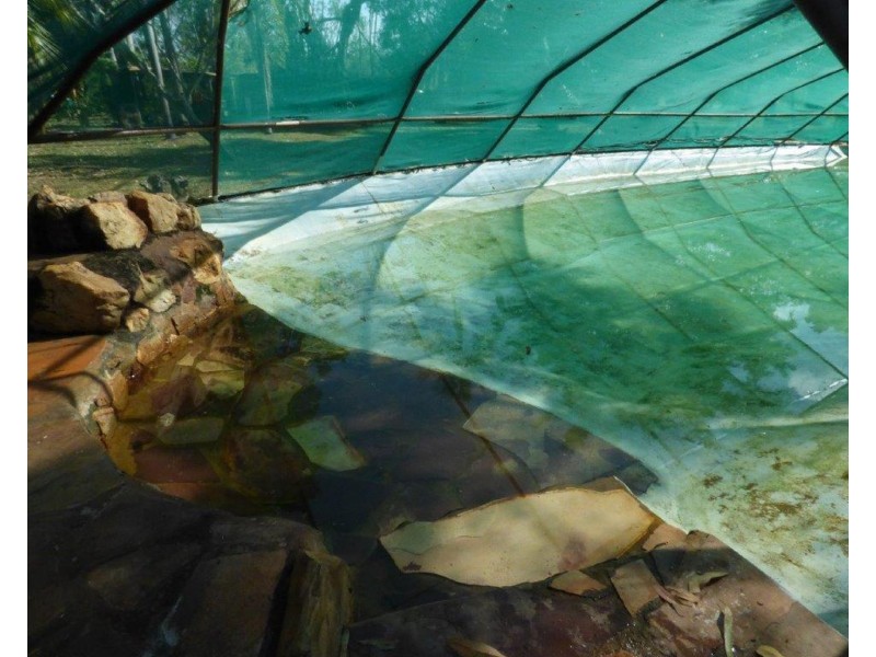 675 Reedbeds Road, Darwin River NT 0841