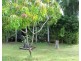 197 Wagait Tower Road, Wagait Beach NT 0822