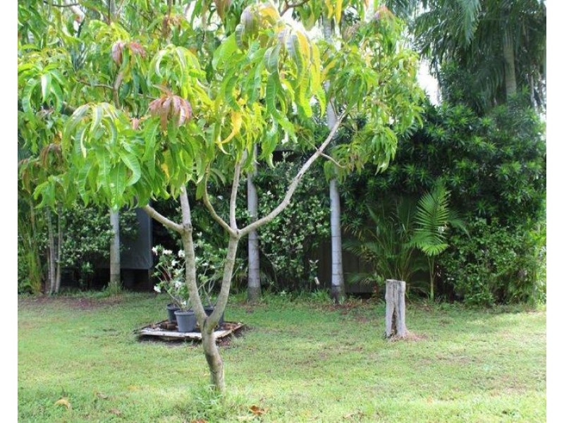 197 Wagait Tower Road, Wagait Beach NT 0822