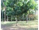 197 Wagait Tower Road, Wagait Beach NT 0822