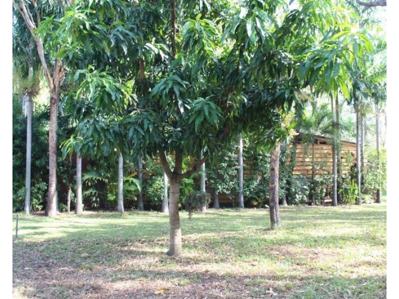 197 Wagait Tower Road, Wagait Beach NT 0822