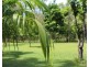 197 Wagait Tower Road, Wagait Beach NT 0822
