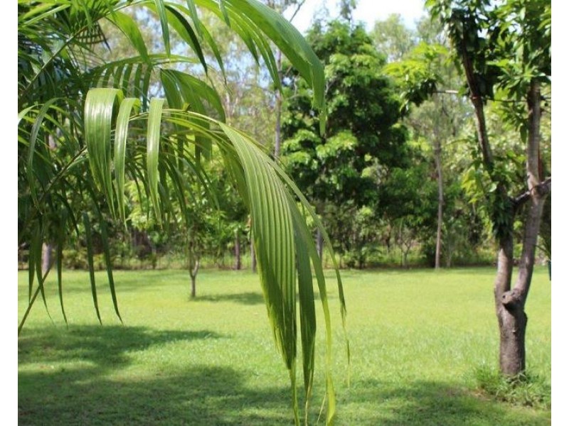 197 Wagait Tower Road, Wagait Beach NT 0822