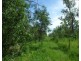 Livingstone NT 0822