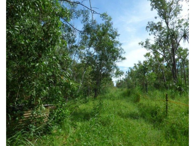 Livingstone NT 0822