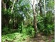 Livingstone NT 0822