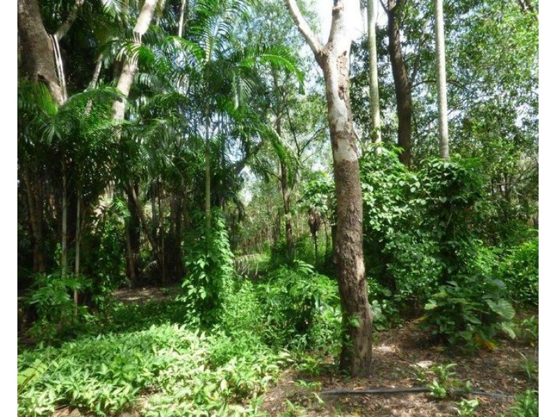 Livingstone NT 0822