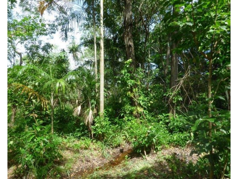 Livingstone NT 0822