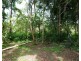 Livingstone NT 0822