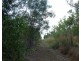 Livingstone NT 0822
