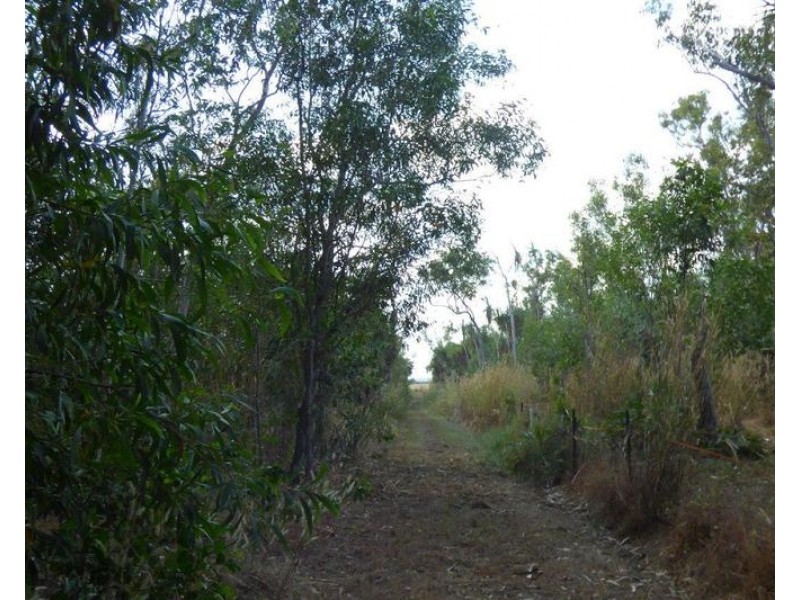 Livingstone NT 0822