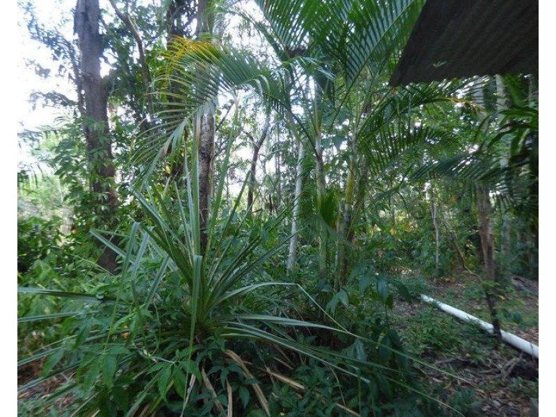 Livingstone NT 0822