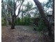 Livingstone NT 0822