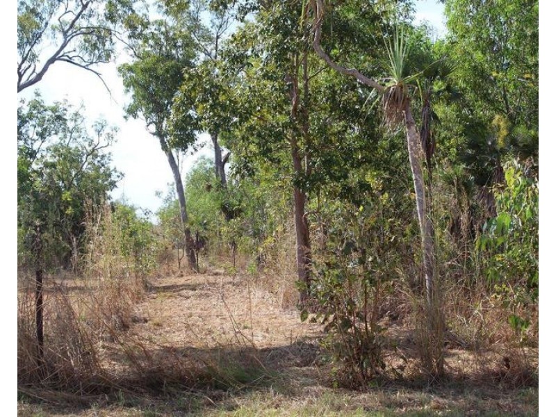 Livingstone NT 0822