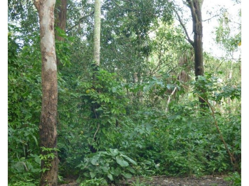 Livingstone NT 0822