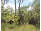 Lot 3004,  Threadfin Road, Dundee Downs NT 0840