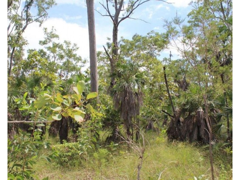 Lot 3004,  Threadfin Road, Dundee Downs NT 0840