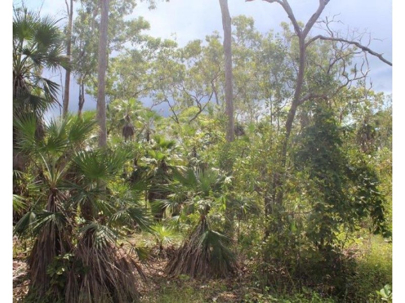 Lot 3004,  Threadfin Road, Dundee Downs NT 0840