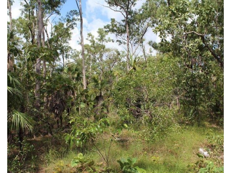 Lot 3004,  Threadfin Road, Dundee Downs NT 0840
