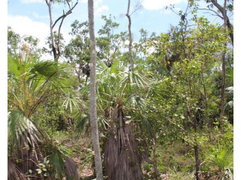 Lot 3004,  Threadfin Road, Dundee Downs NT 0840